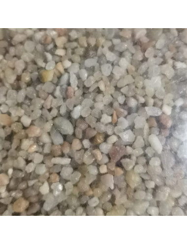 Gravilla para Asticot gruesa