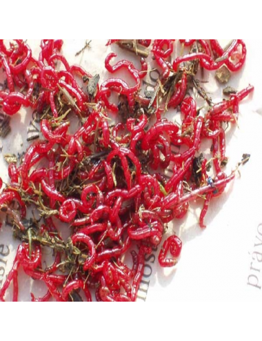 VERS DE VASE RUSO GRANDE...