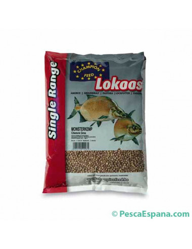 CAÑAMON GRUESO Champion Feed